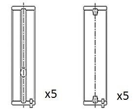 Crankshaft Bearing